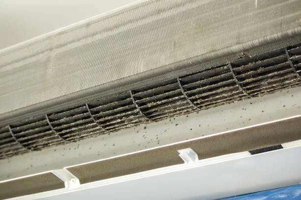 Best Professional Duct Cleaning Services  in Beach, ND